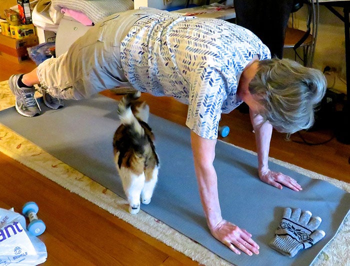 older adult exercising on mat with cat walking under
