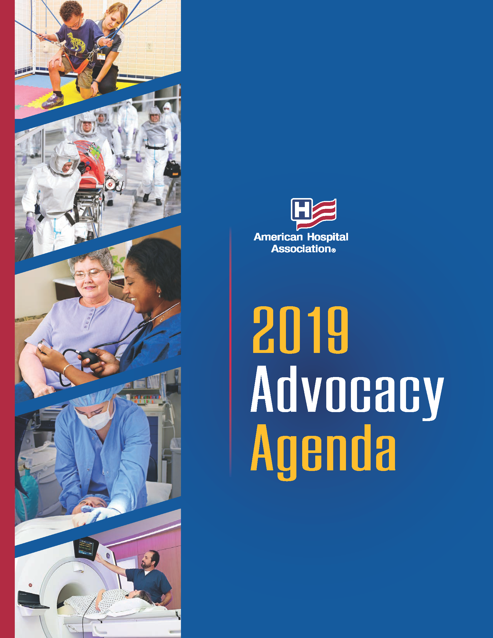 2019 AHA Advocacy Agenda